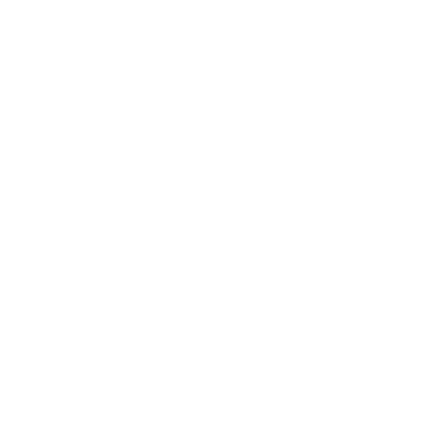 Pioneer Outdoor Group Logo